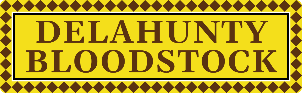 Delahunty Bloodstock